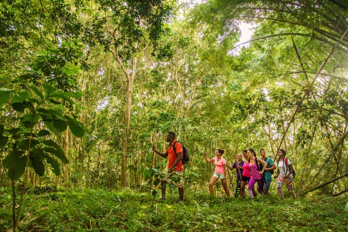 Hiking Coco Hill (4)-6